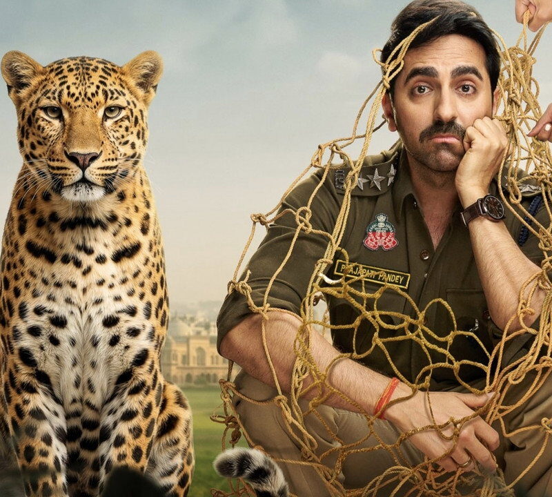 Pati Patni Aur Woh Do Box Office: Film Nears Rs 60 Crore Worldwide