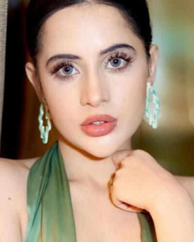 Uorfi Javed breaks silence on swollen face, blames cats and stress